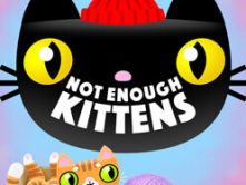 Not Enough Kittens